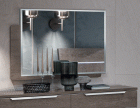 Platinum Mirror Silver Birch